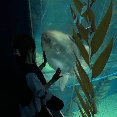 sunami44122941's profile picture. ゴルフ、お笑い、ハイボールが大好きです。なかなか上達しないゴルフだけど2025年こそ100切り目標⛳️ 無言いいね👍失礼します