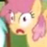 harmonyyells (@harmonyyells) 's Twitter Profile