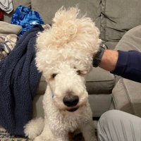 Travis Laver (@travis_laver) 's Twitter Profile