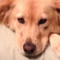 Nina Rubio (@ninarub76033950) 's Twitter Profile