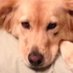 Nina Rubio (@ninarub76033950) Twitter profile photo Nina Rubio (@ninarub76033950) Twitter profile photo