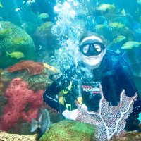 Rebecca Schijns (@ocean_schijns) 's Twitter Profile Photo Rebecca Schijns (@ocean_schijns) 's Twitter Profile Photo