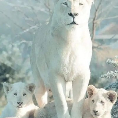 MatkRubby's profile picture. Lover of Nature...freedom..live ur life