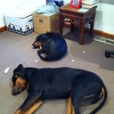 paul pasqual - @PaulipNic - Twitter