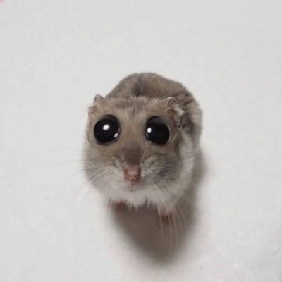 𝄞さんのプロフィール画像