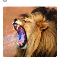 Gods Lions 🇳🇿🙏(@IAmExempt) 's Twitter Profile Photo