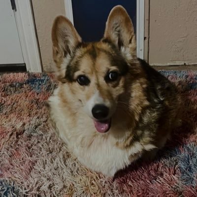 JoeGree35064921's profile picture. 