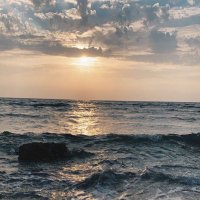 ﮼فاء✨ (@its_113) 's Twitter Profile Photo