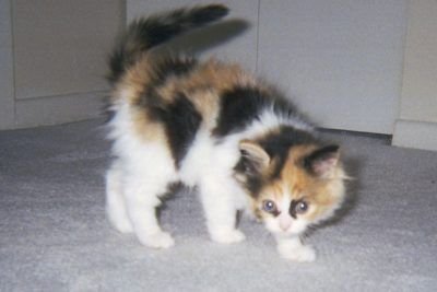 mrbunzer's profile picture. 