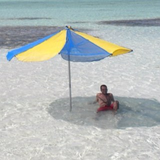 tonifaura's profile picture. 