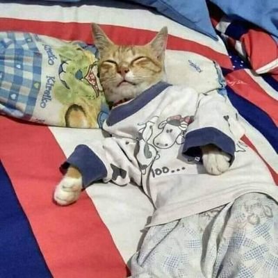 Mesrar77Amine's profile picture. نحن لا ننتظر المقابل لما نعطي