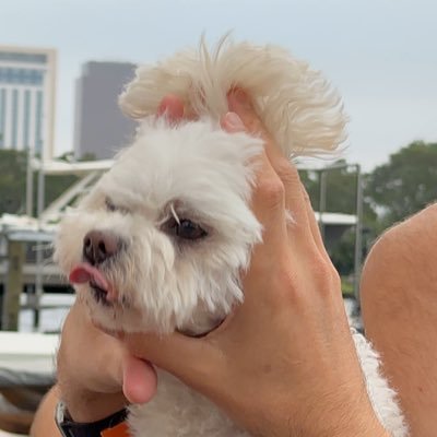 bentz_justice's profile picture. 🤿