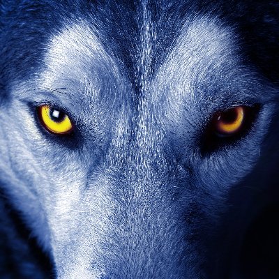 Triboque's profile picture. Jeune homme survivant dans un monde qui s'effondre. 
#Völkisch #Elsass

Compte censuré, je migre ici : @triboque2