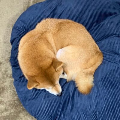 やすさんのプロフィール画像