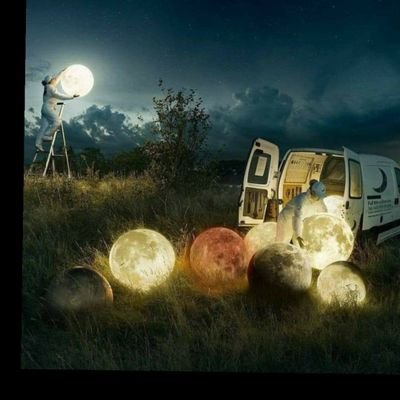 KpadonouAidjo's profile picture. 