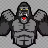 🦍 Roaring Ape 🦍(@Kingjai168) 's Twitter Profile Photo