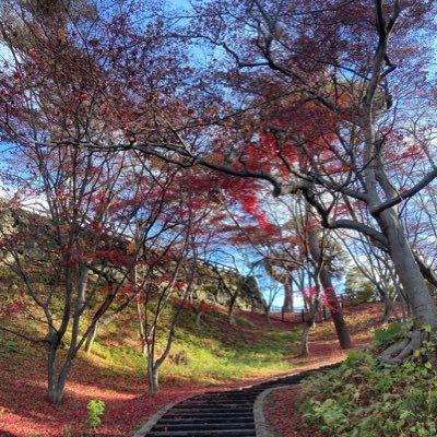 IWAOO01529Mef's profile picture. kpu 歴② 大学垢→@iwaa1520kay