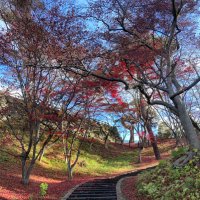 イワ (@iwaoo01529mef) 's Twitter Profile