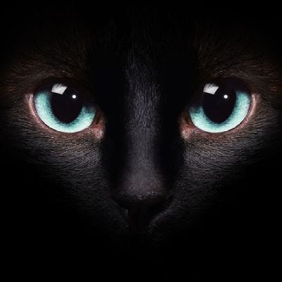 edsondj5291's profile picture. 