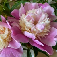 ユキコ (@bhemprrdn9nyen2) Twitter profile photo