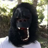 Sebascp (@sebascp85) 's Twitter Profile