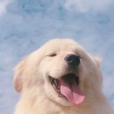 DGISPR47034333's profile picture. 🐚⁷