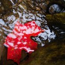 Peter Goddard - @hr3sons - Twitter