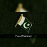 syedbk12's profile picture. عام آدمی 🕵👤