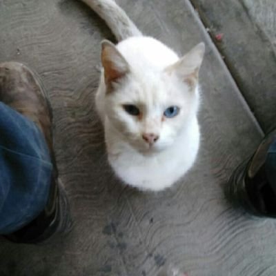 Que soy responsable y trabajador en una empresa socialmente responsable ferrox y enagri lapaz