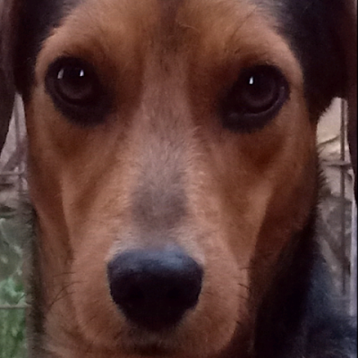 Krisy_38399's profile picture. 