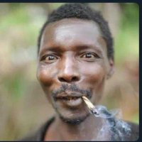 Fidodidodanhills ⚡⭐🇺🇬 (@fdanhills) Twitter profile photo