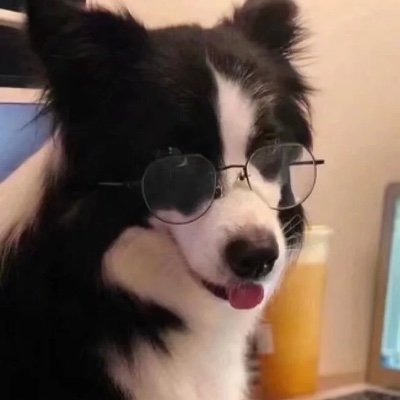 RickyYo76279955's profile picture. nothing