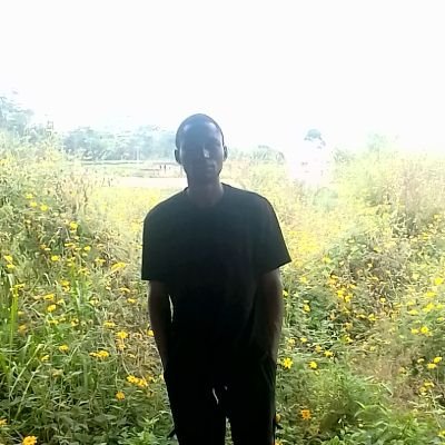 SChinuwa's profile picture. I'm retired.