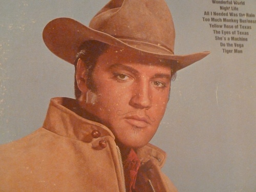 Elvis Impersonator.  Follow me for tweets of hand-picked music rankings from @GoRankem!