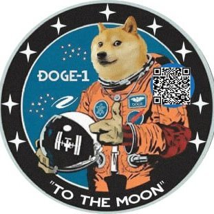 Official_DOGE1 Profile Picture