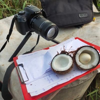 Contentmaster7's profile picture. 