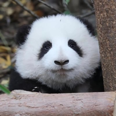 Tekkn83's profile picture. 