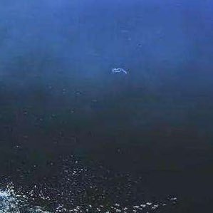 Victor520314's profile picture. 合适可约视频本人1 
WT需检测