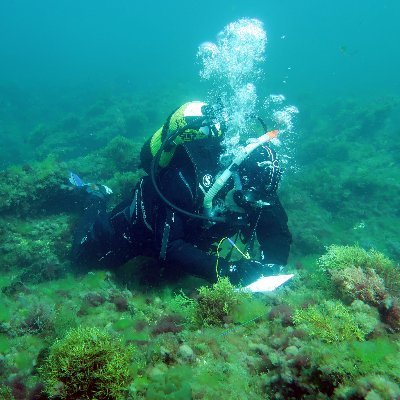 We are a research group that studies the effects of human activity and climate change on the structure of marine rocky benthic communities