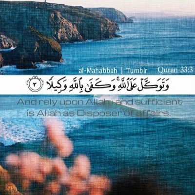 MahdiM60807845's profile picture. 