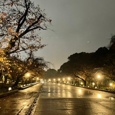 Massa_5554444's profile picture. 