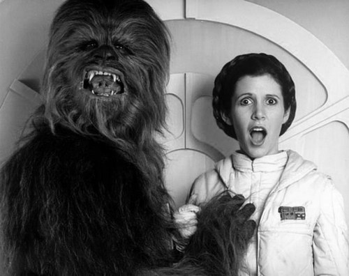 stefatthemovies's profile picture. TV commercials producer by day and film obsessive by night. Contributor to the @BVFilmClub and occasional drummer.