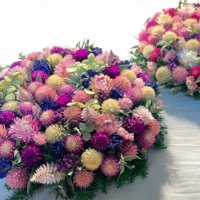 Printemps Pour (@printempspour) Twitter profile photo