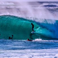 Gino Ferraro (@the1ginoferraro) 's Twitter Profile