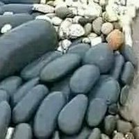 محب لسلام ومحب للانسانية (@mohamad1abdo) 's Twitter Profile