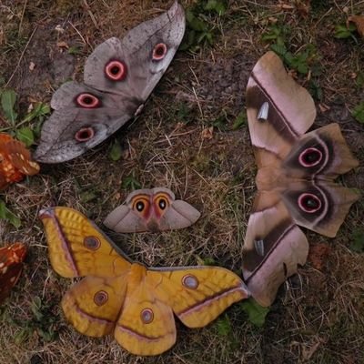 elysianviolence's profile picture. shtwt edtwt
vent