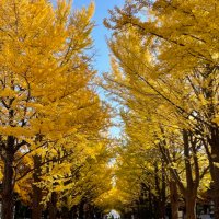 Satoshi Urai / 浦井 聡 (@satoshiurai) 's Twitter Profile Photo Satoshi Urai / 浦井 聡 (@satoshiurai) 's Twitter Profile Photo