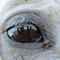 gnşkr (@sukrugun3) 's Twitter Profile Photo