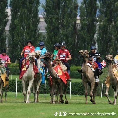 Pourquoi faire du chameau? et un evenements Coupe de France de courses de chameaux en 2023🐪?