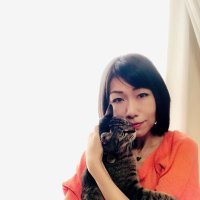 和田秀子(@hideinu) 's Twitter Profile Photo